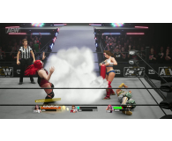 PC AEW: Fight Forever - 1065272 - zdjęcie 7